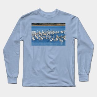 Beaks To The West Long Sleeve T-Shirt